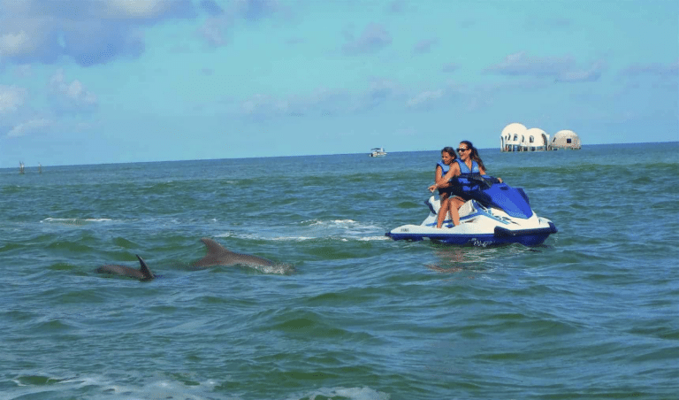 happy jet ski riders pointing at dolphins swimming nearby