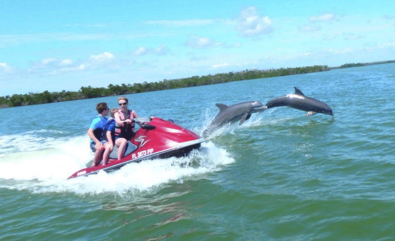 dolphins swimming next to jet ski riders